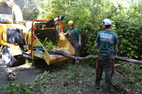 tree services River Ridge